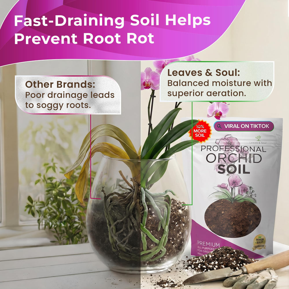 Close-up of orchid roots in healthy soil environment