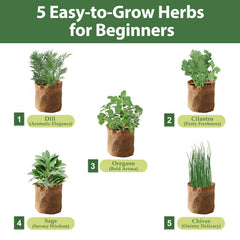 Close-up of organic herb seeds included in the planter kit