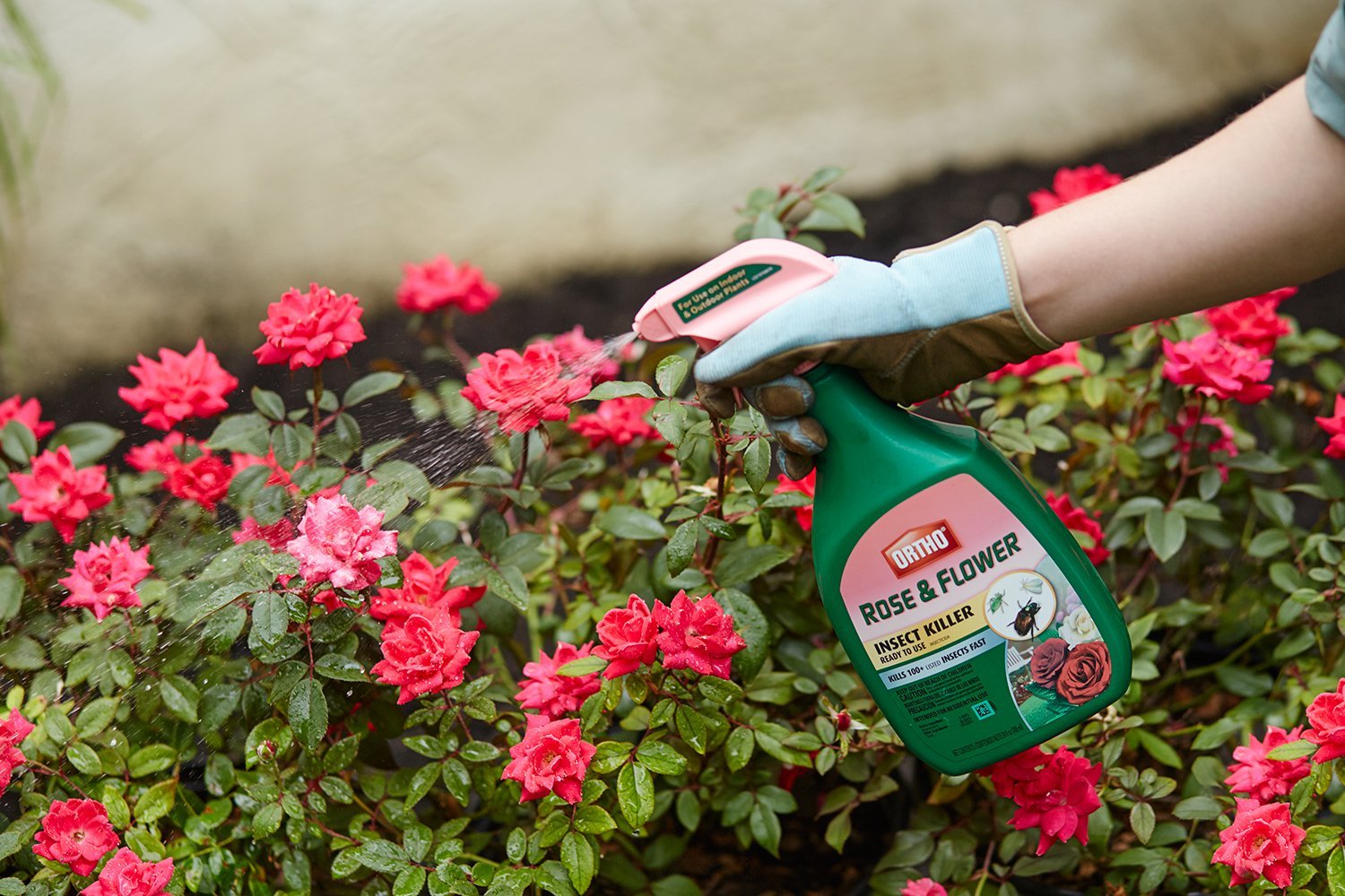Close-up of Ortho Rose and Flower Insect Killer nozzle