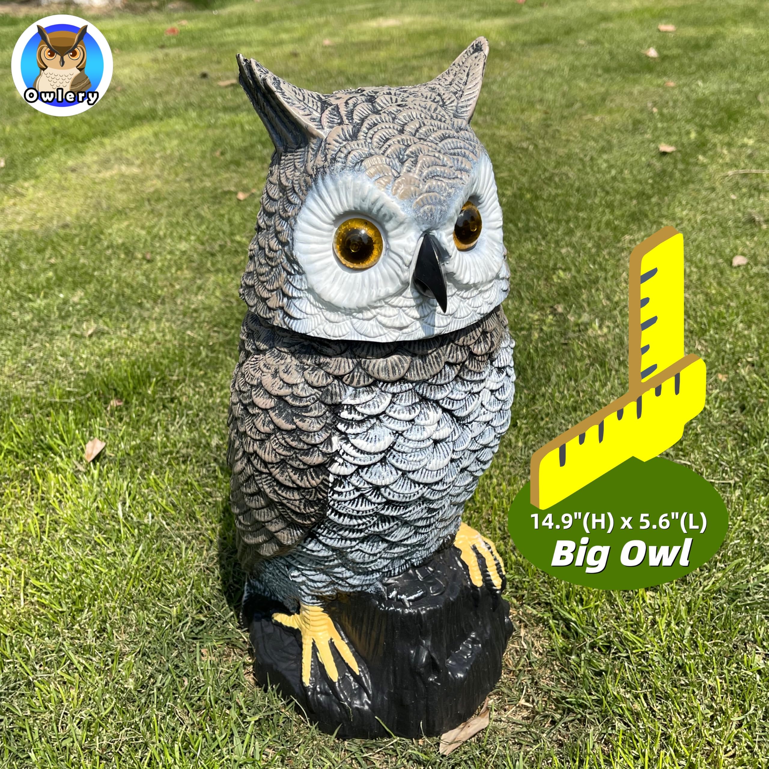 Close-up of Owlery Brown Solar Owl's realistic painted details