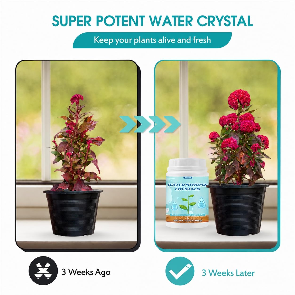 Close-up of Oycevila Water Storing Crystals in packaging