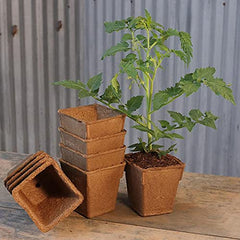 Close-up of Park Seed CowPots showing porous structure