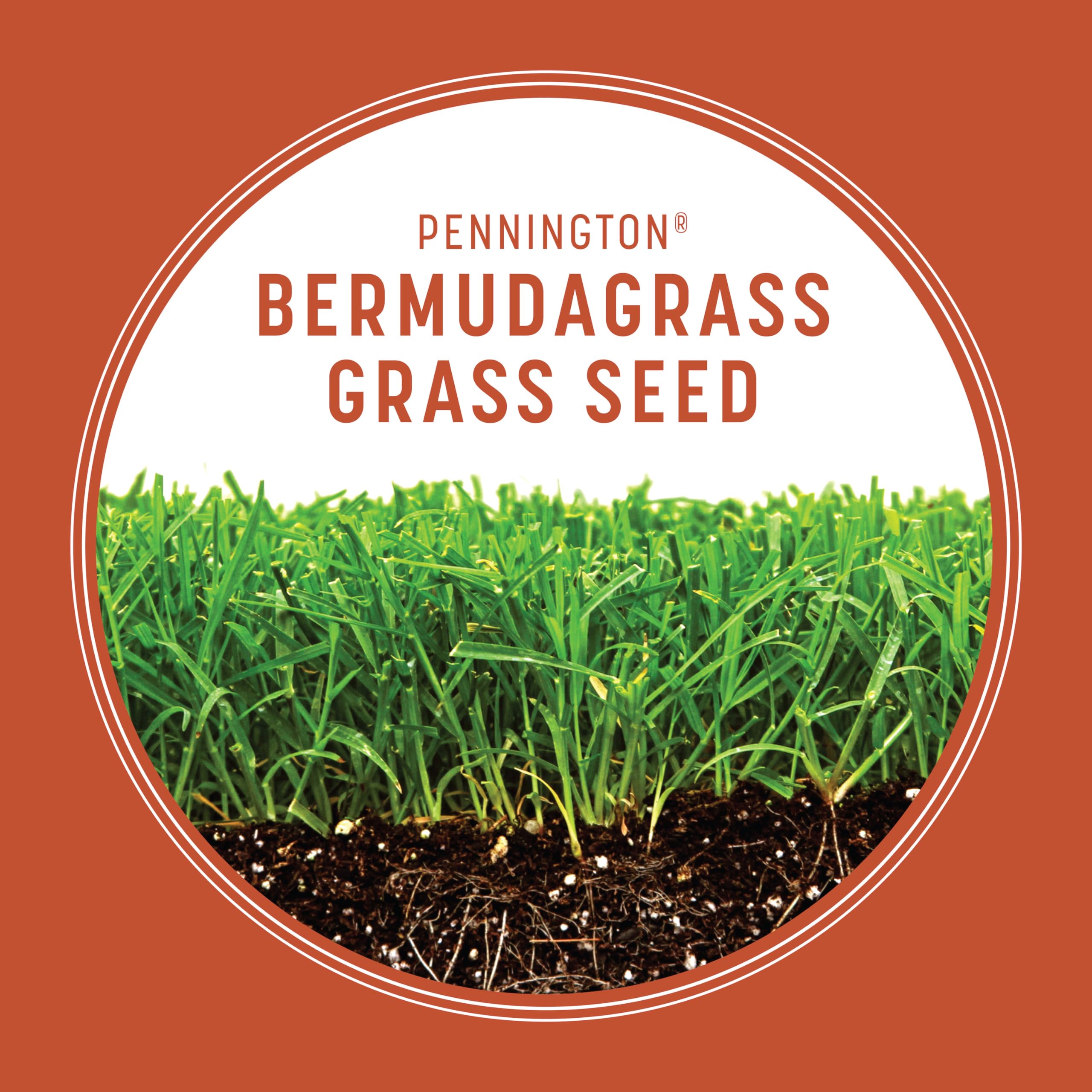 Close-up of Pennington Bermudagrass seeds in a bag