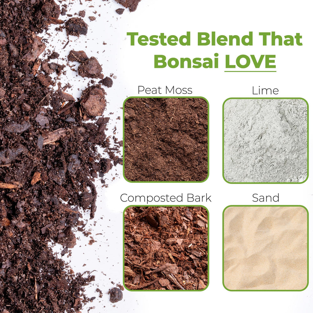 Close-up of PERFECT PLANTS Bonsai Soil texture