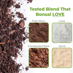 Close-up of PERFECT PLANTS Bonsai Soil texture