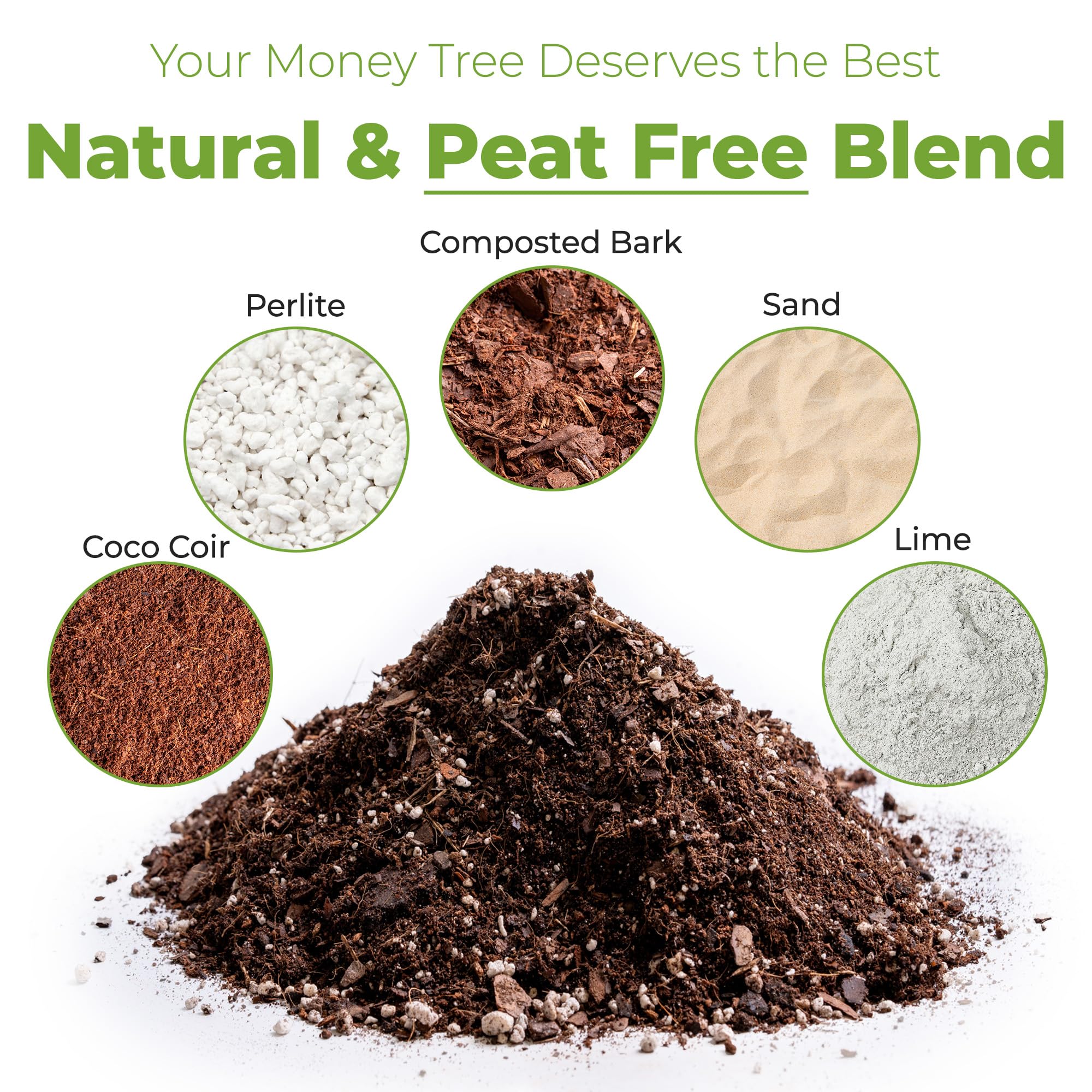 Close-up of Perfect Plants Money Tree Potting Soil texture