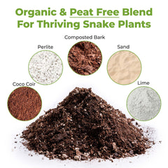 Close-up of PERFECT PLANTS Snake Plant Soil texture