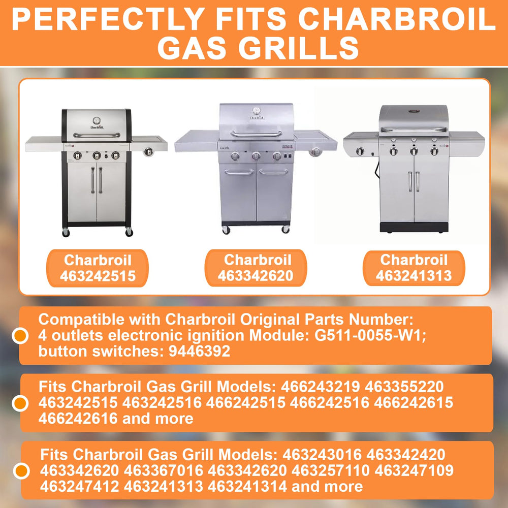 Close-up of PETKAO ignition module for Charbroil grills