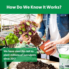 Close-up of potting soil texture and ingredients