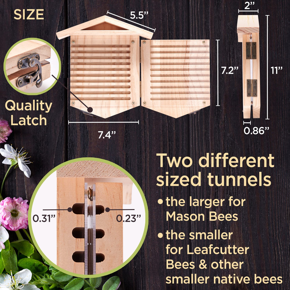 Close-up of pre-drilled nesting tunnels in Rivajam bee house