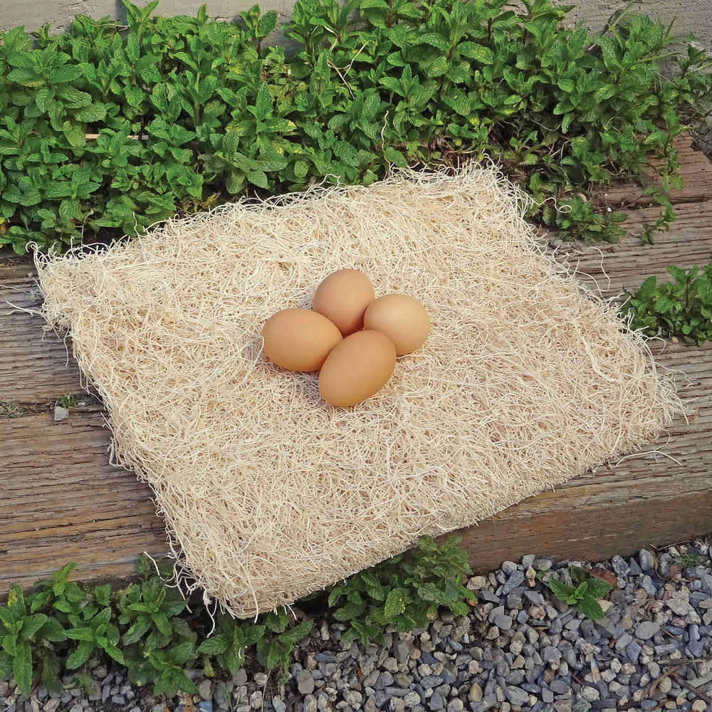 Close-up of PRECISION PET Chicken Nesting Pads showing wood shavings