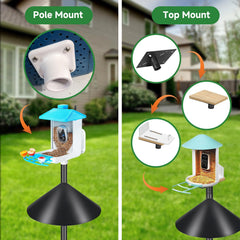 Close-up of PROERR Smart Bird Feeder Pole Stand squirrel baffle