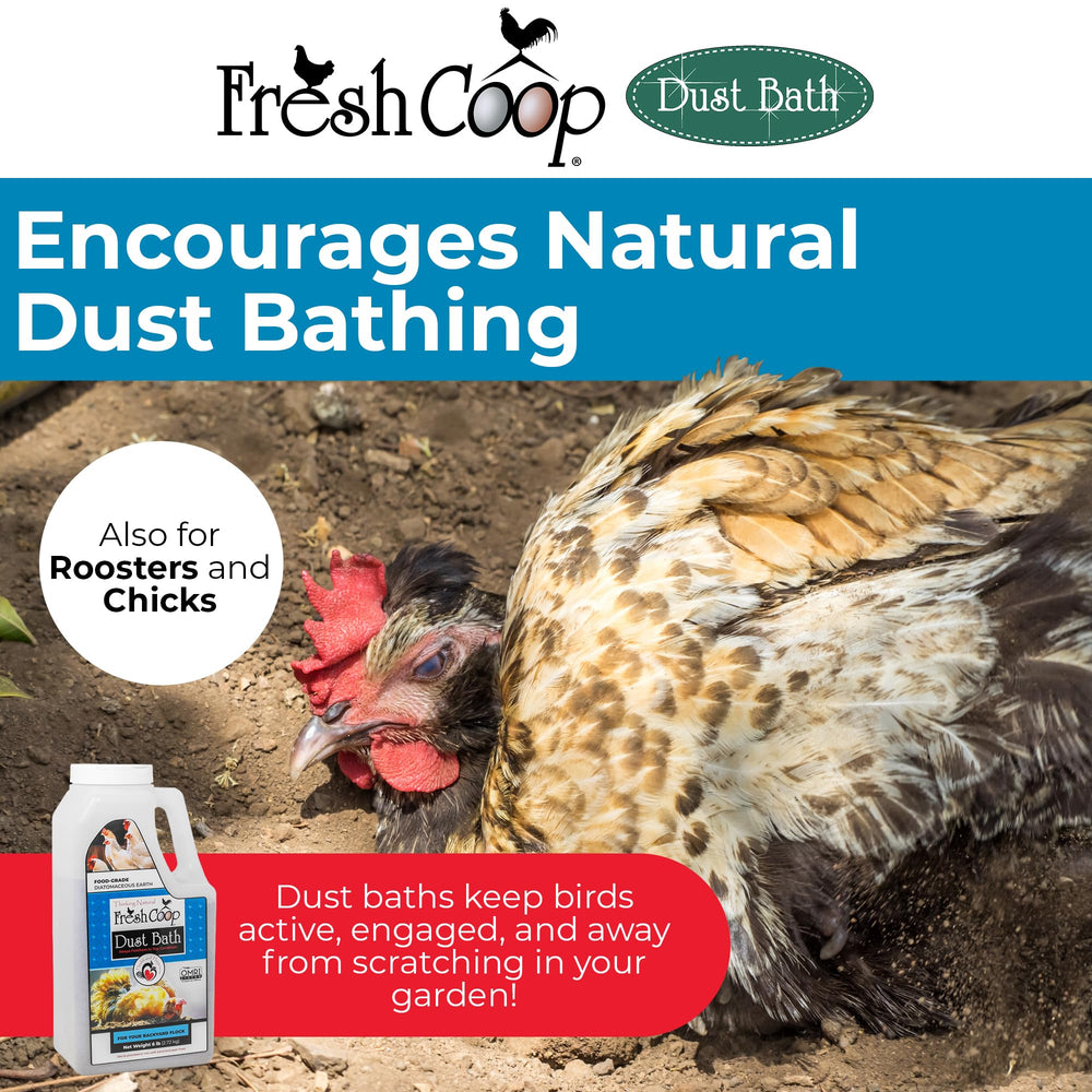 Close-up of Progressive Planet Fresh Coop Dust Bath powder