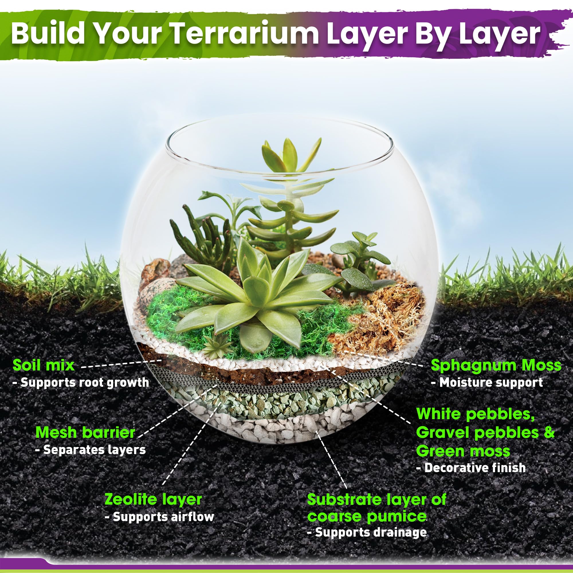 Close-up of pumice and zeolite in the terrarium kit