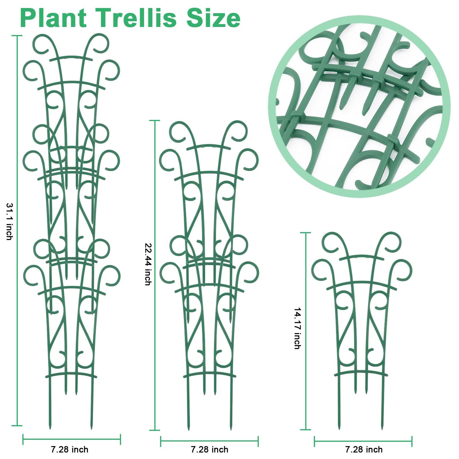 Close-up of Qaobo Plant Trellis with climbing plants