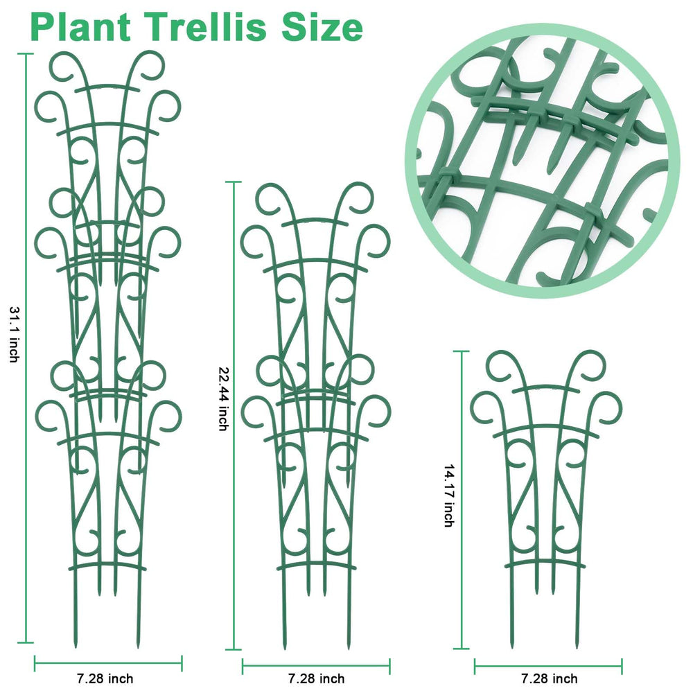 Close-up of Qaobo Plant Trellis with climbing plants