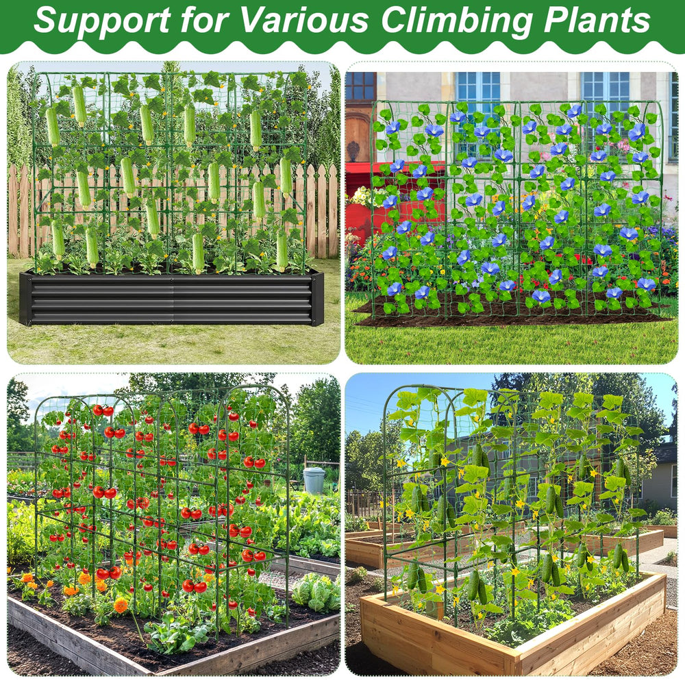 Close-up of Qinzave Cucumber Trellis connectors and stakes