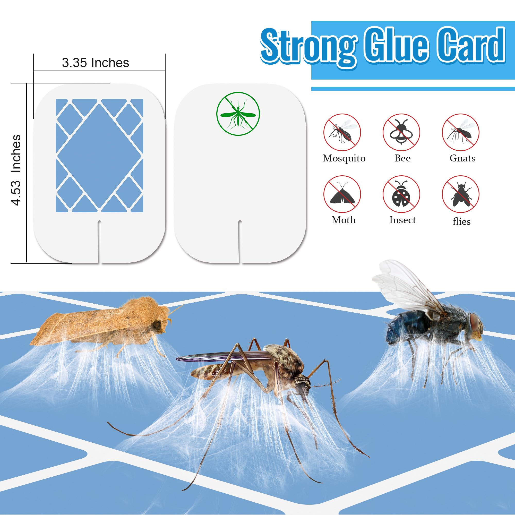 Close-up of Qualirey glue board for insect traps