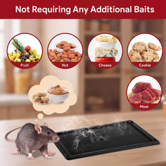 Close-up of Qualirey Rat Glue Trap with sticky surface