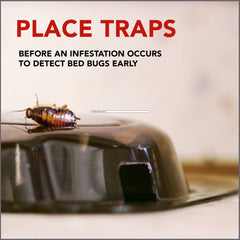 Close-up of Raid Bed Bug Detector adhesive