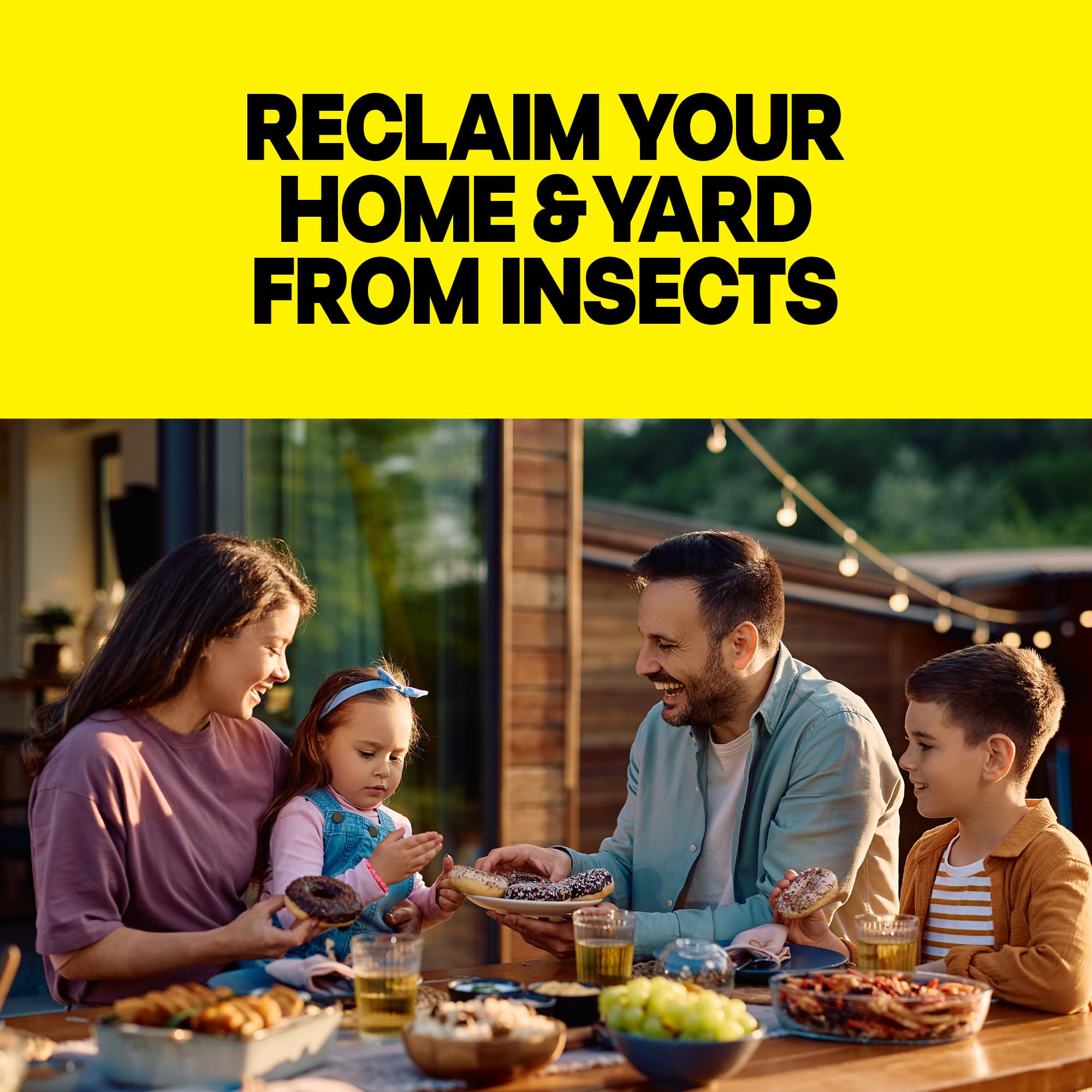 Close-up of Raid Multi Insect Killer can showing product details