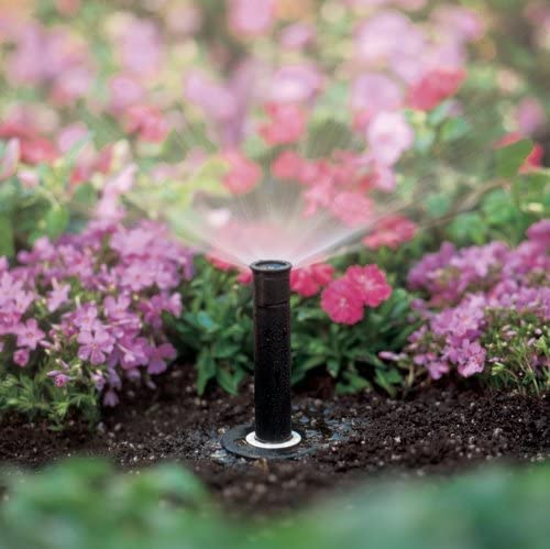 Close-up of Rain Bird 1804HEVNPR nozzle adjustment collar