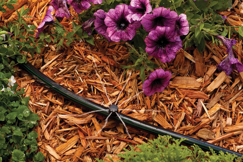 Close-up of Rain Bird Micro-Bubbler adjusting spray distance