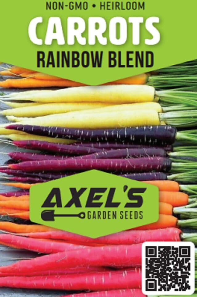 Close-up of rainbow carrot seeds from Axel's Garden Seeds