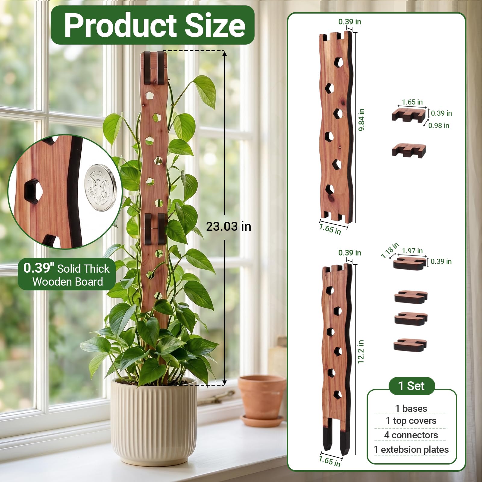 Close-up of RAWILL Wooden Trellis extension plate