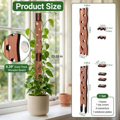 Close-up of RAWILL Wooden Trellis extension plate