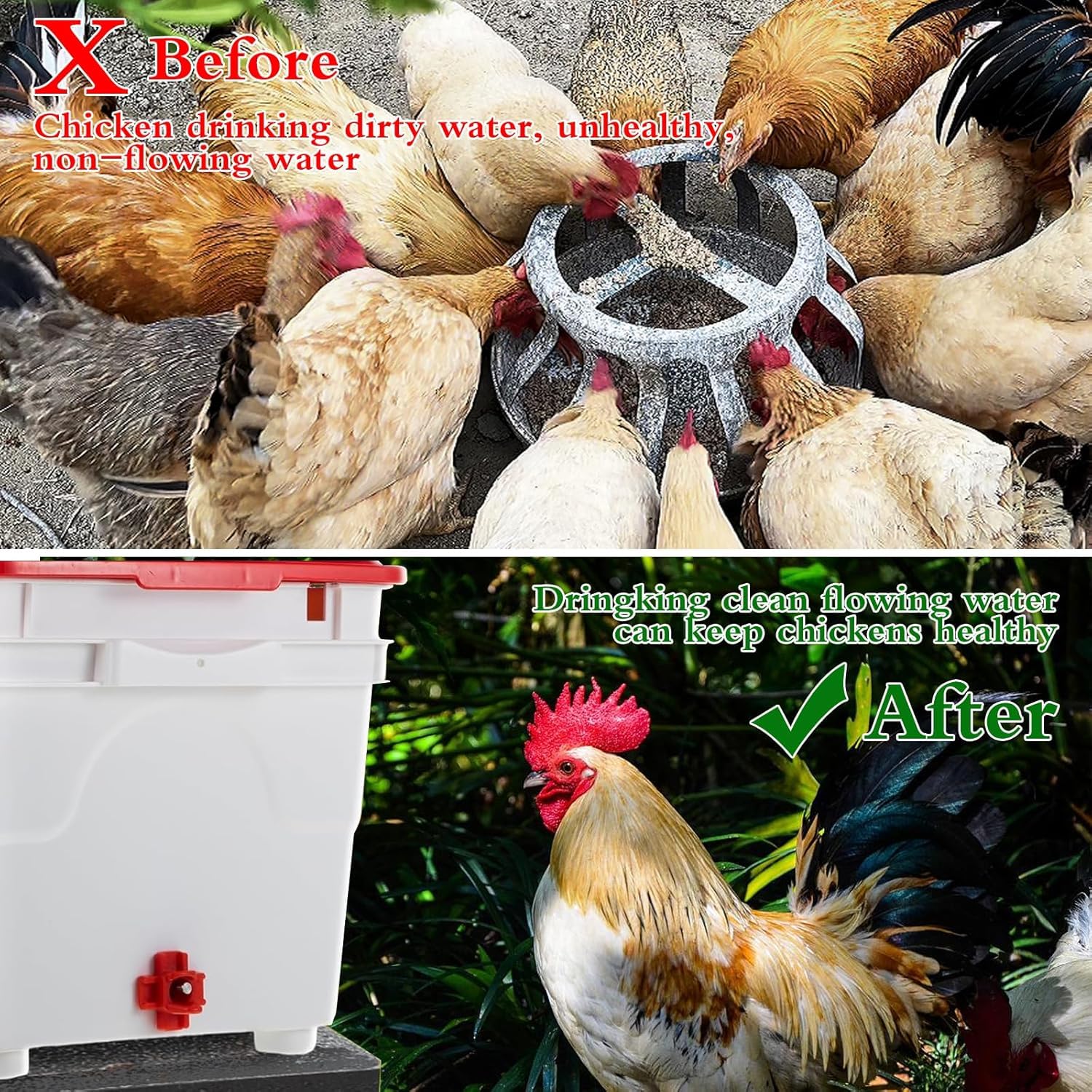 Close-up of red nipple tips in chicken waterer kit