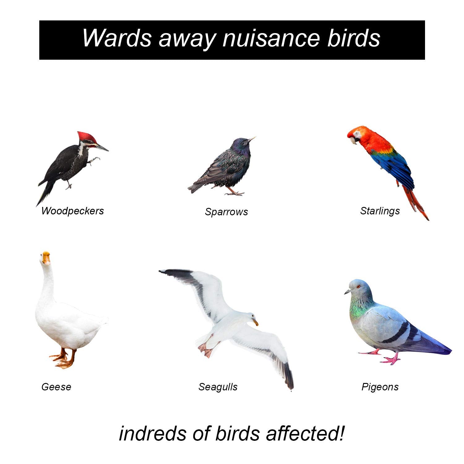 Close-up of reflective surface of Besmon bird scare device