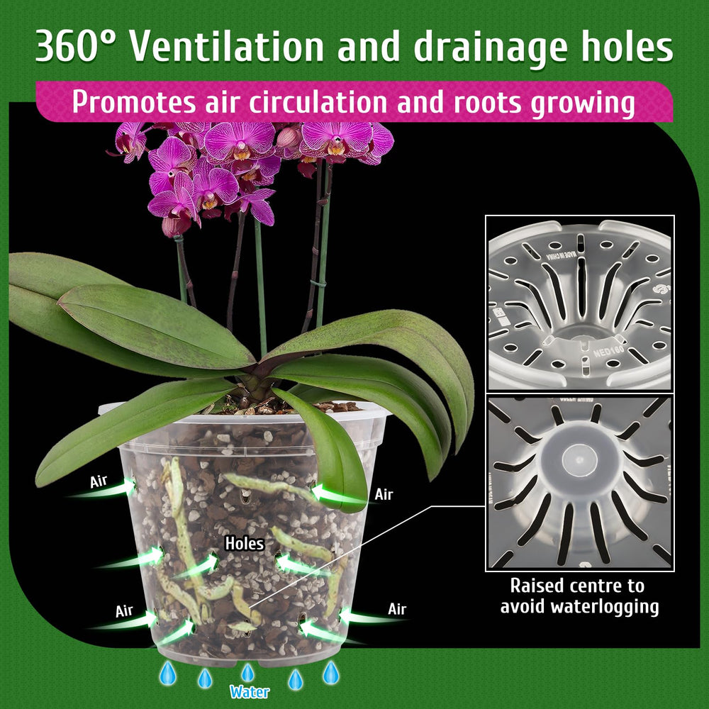 Close-up of REMIAWY Orchid Pot with soil and orchid plant