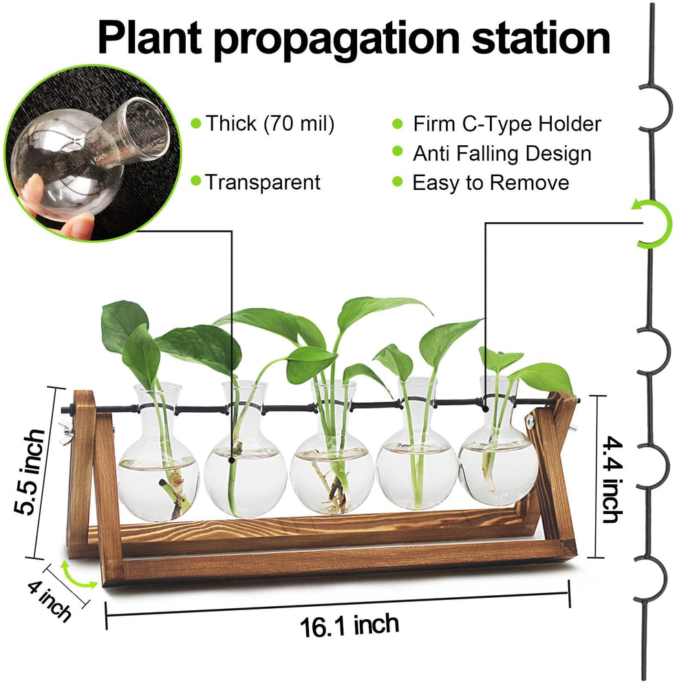 Close-up of Renmxj glass vases in the propagation station