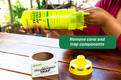 Close-up of RESCUE! Yellowjacket Trap interior cone