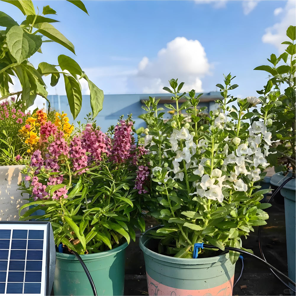 Close-up of RISINGUP solar panel for drip irrigation system