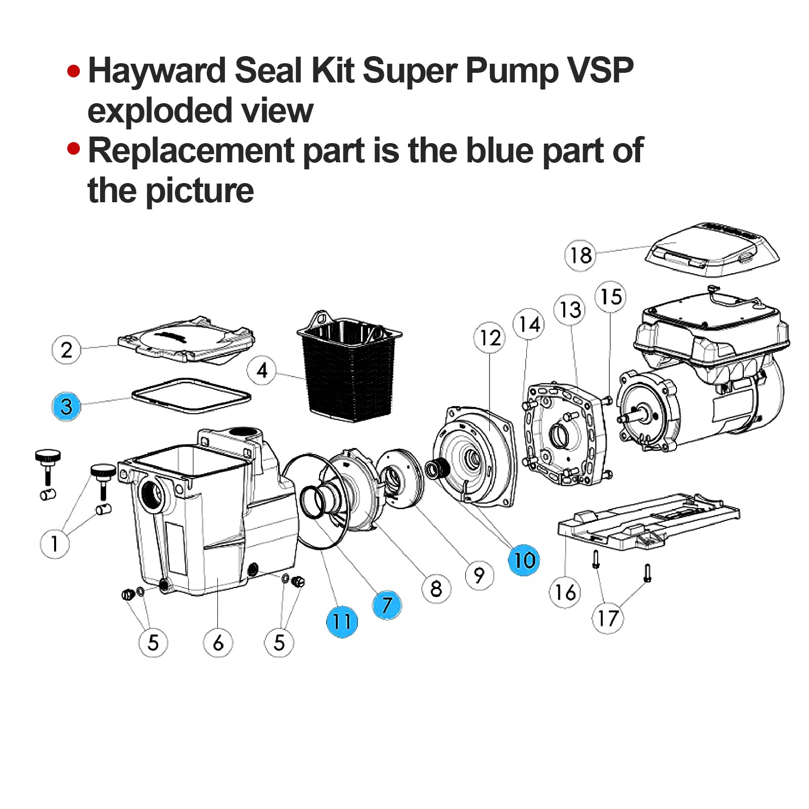 Close-up of RO6G pump lid gasket included in the seal kit