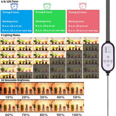 Close-up of Rocoking full spectrum LED grow light in use