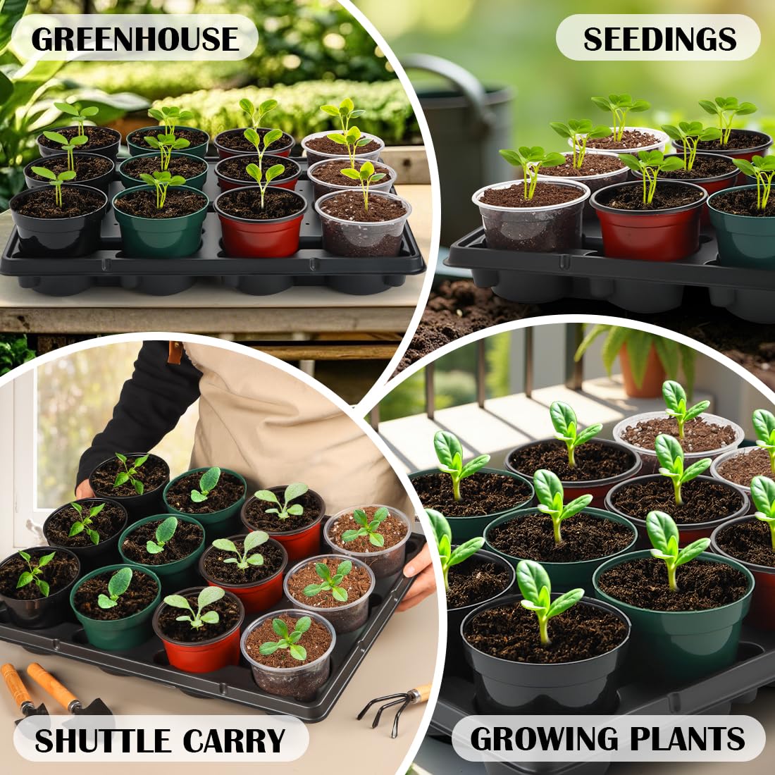 Close-up of RooTrimmer 12 Cell Round Nursery Pot Tray showing material quality