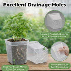 Close-up of RooTrimmer 2.7 inch clear nursery pot