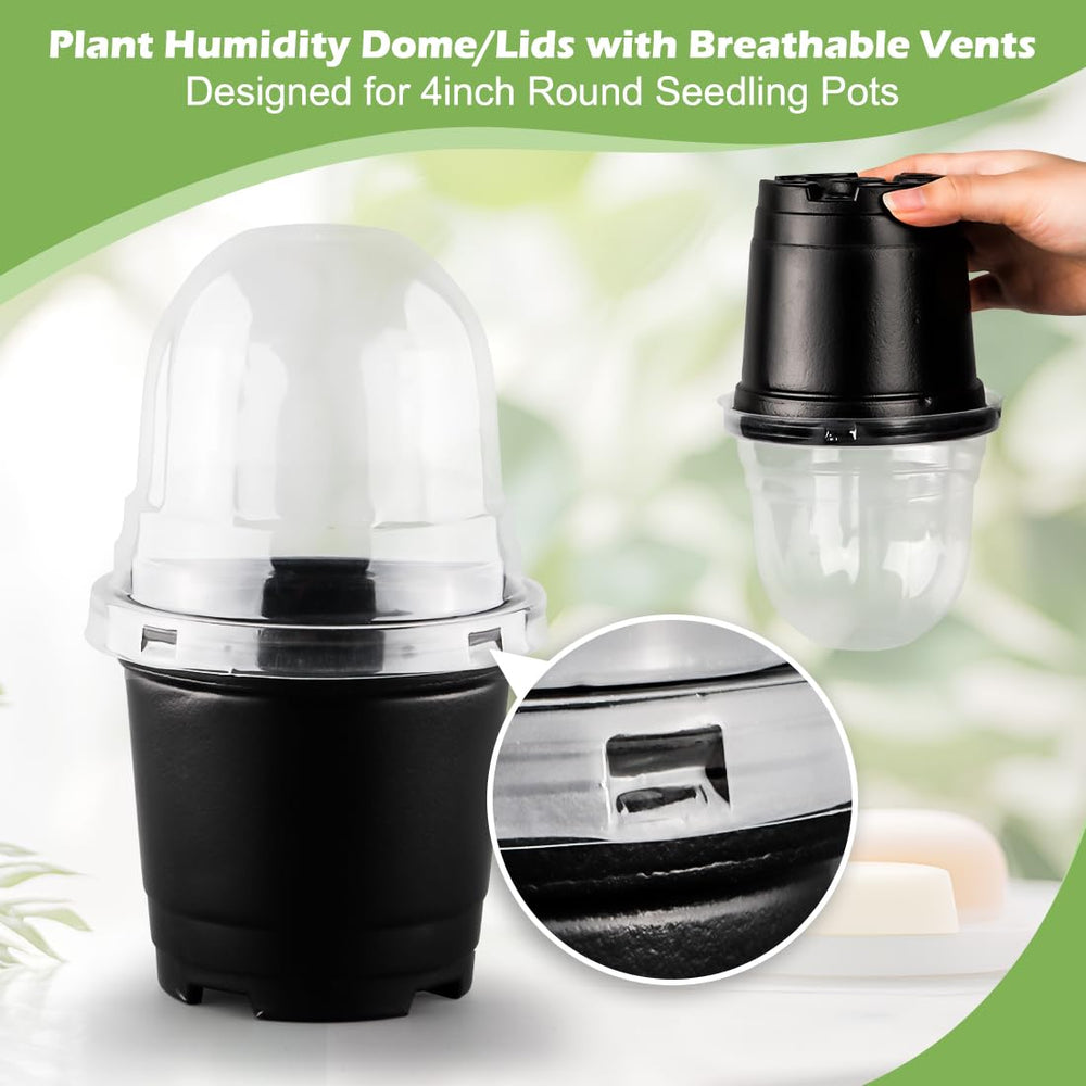 Close-up of RooTrimmer humidity dome fitting over a 4 inch pot