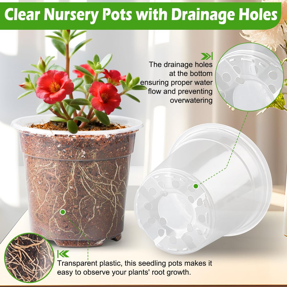 Close-up of RooTrimmer humidity dome on nursery pot