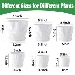 Close-up of RooTrimmer plastic plant pot showing drainage holes