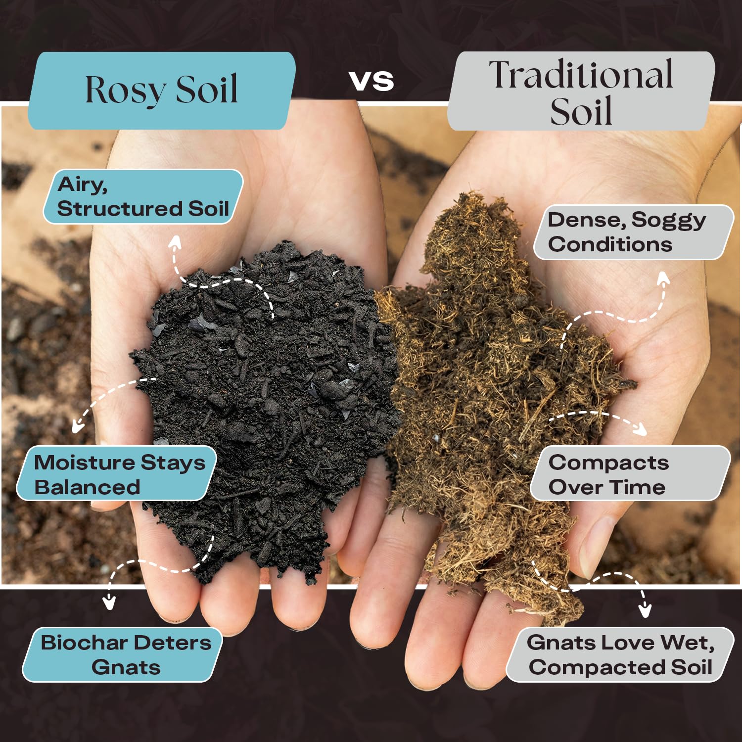 Close-up of Rosy Soil ingredients including mycorrhizae and compost