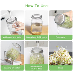 Close-up of SBMKK sprouting lid and jar setup