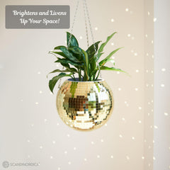 Close-up of SCANDINORDICA Disco Ball Planter with succulent