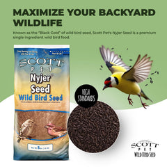 Close-up of Scott Pet Nyjer Seed for backyard birds