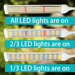 Close-up of Secefeao LED Grow Light lamp head