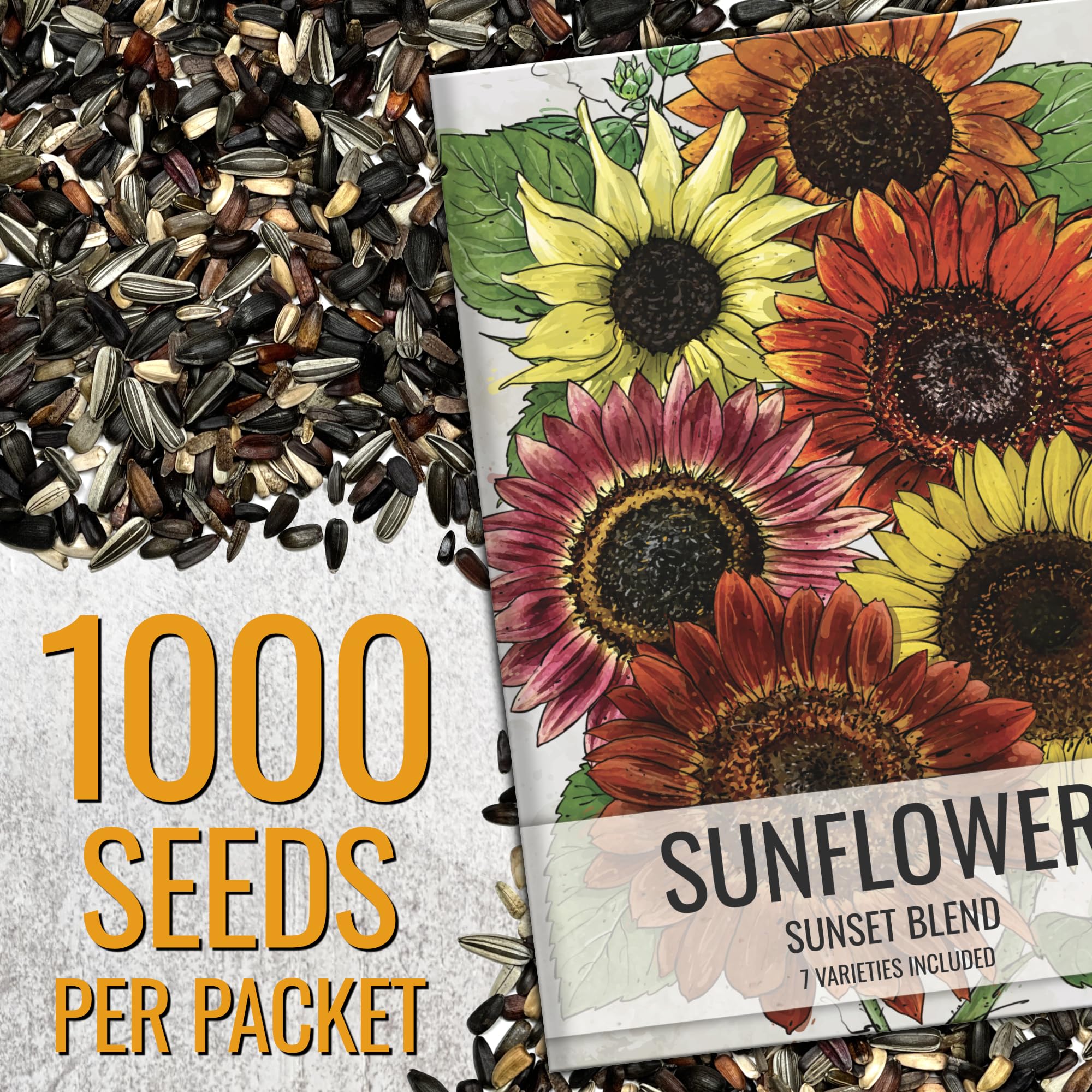 Close-up of Seed Needs Sunset Blend Sunflower Seeds