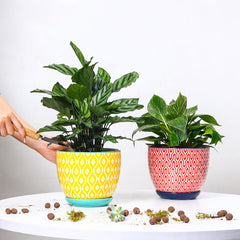 Close-up of Selamica ceramic plant pots showing drainage hole and saucer